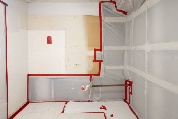 Best Basement Mold Removal  in Kearny, AZ
