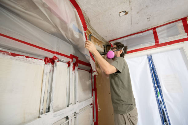 Best Environmental Consulting for Mold Prevention  in Kearny, AZ